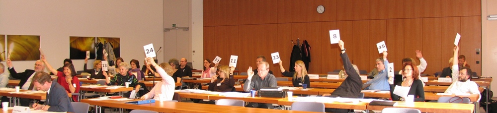 Foto: Die 12. Delegiertenversammlung während einer Abstimmung. 